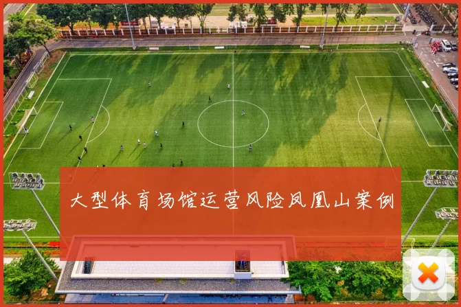 大型体育场馆运营风险凤凰山案例