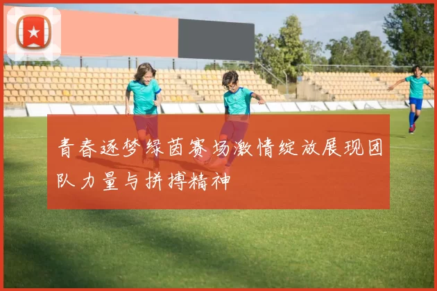 青春逐梦绿茵赛场激情绽放展现团队力量与拼搏精神