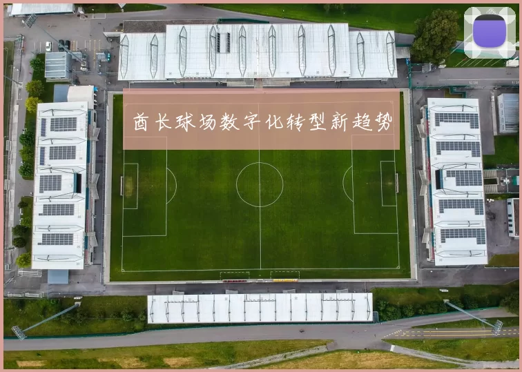 酋长球场数字化转型新趋势