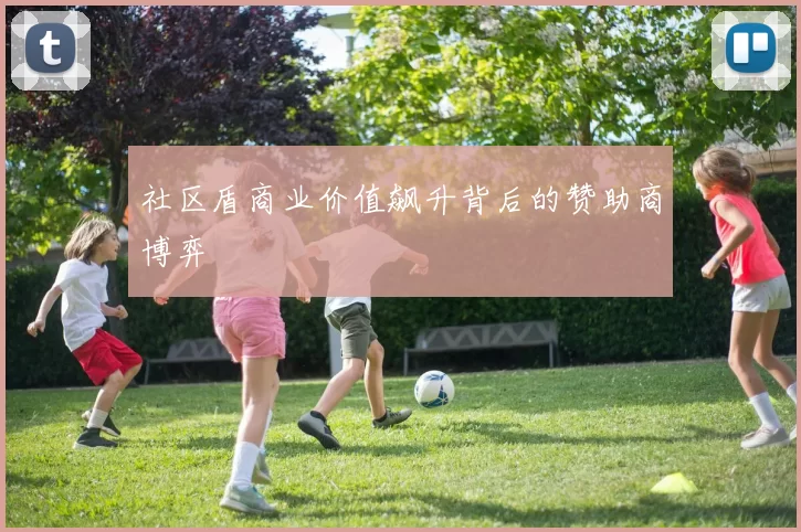 社区盾商业价值飙升背后的赞助商博弈