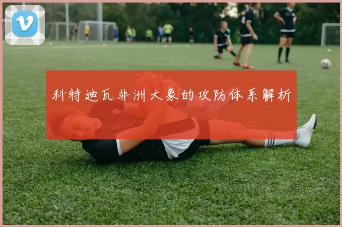 科特迪瓦非洲大象的攻防体系解析